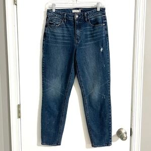 [Anthropologie Unpublished] Debbie The Step Mom High Waist Mom Jean